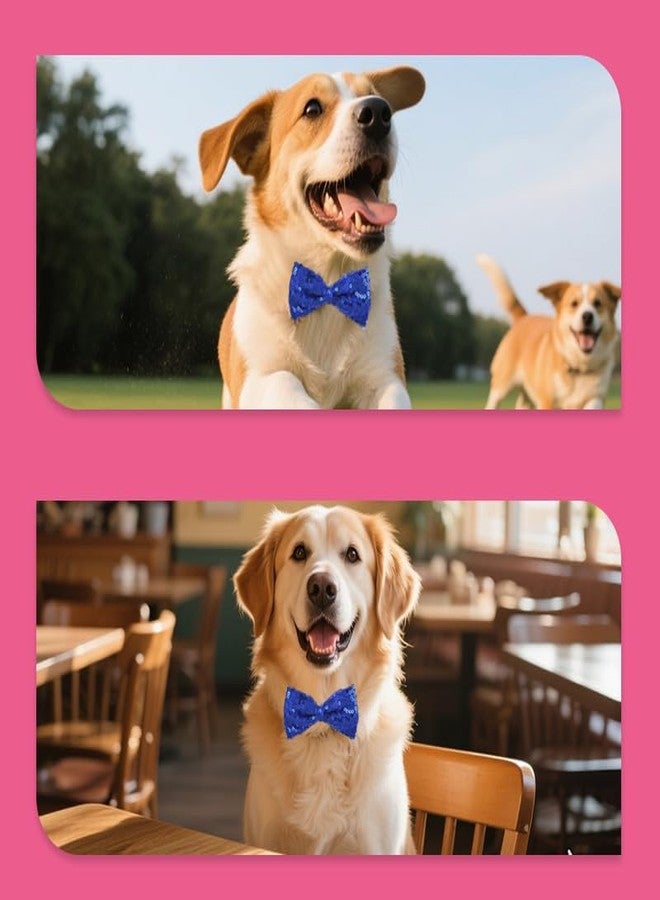 Yreamont Pet Glitter Bow Tie for Dog Cat Sequin Bow Tie for Pet Dogs Cats Sarkly Pet Collar for Cat Dog Pet Accessories with Sequins Pet Collars for Dogs Cats Cat Dog Bow Tie Collar for Pets Shiny Bowtie - Image 4